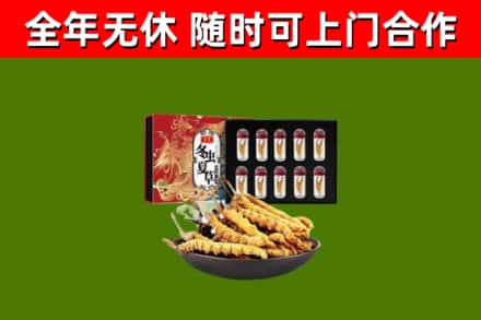 西秀烟酒回收冬虫夏草礼盒.jpg